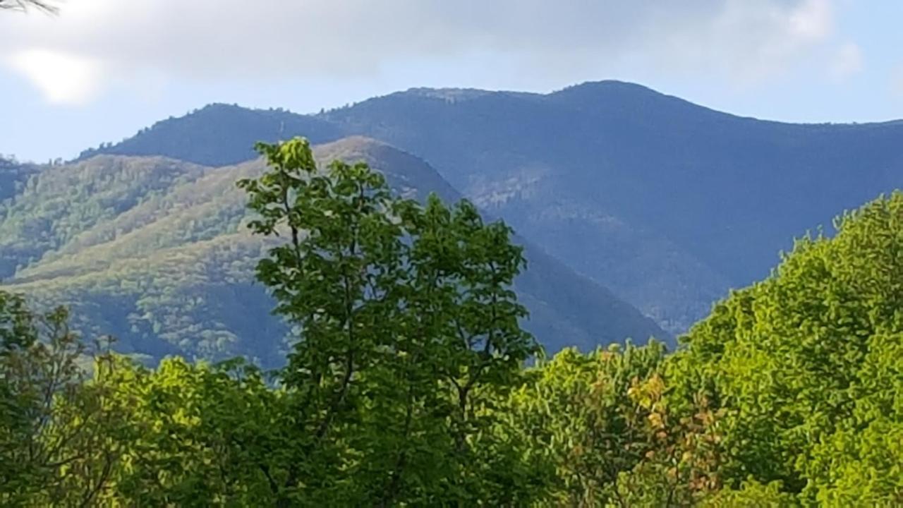 Mountain Serenity Gatlinburg Exterior foto
